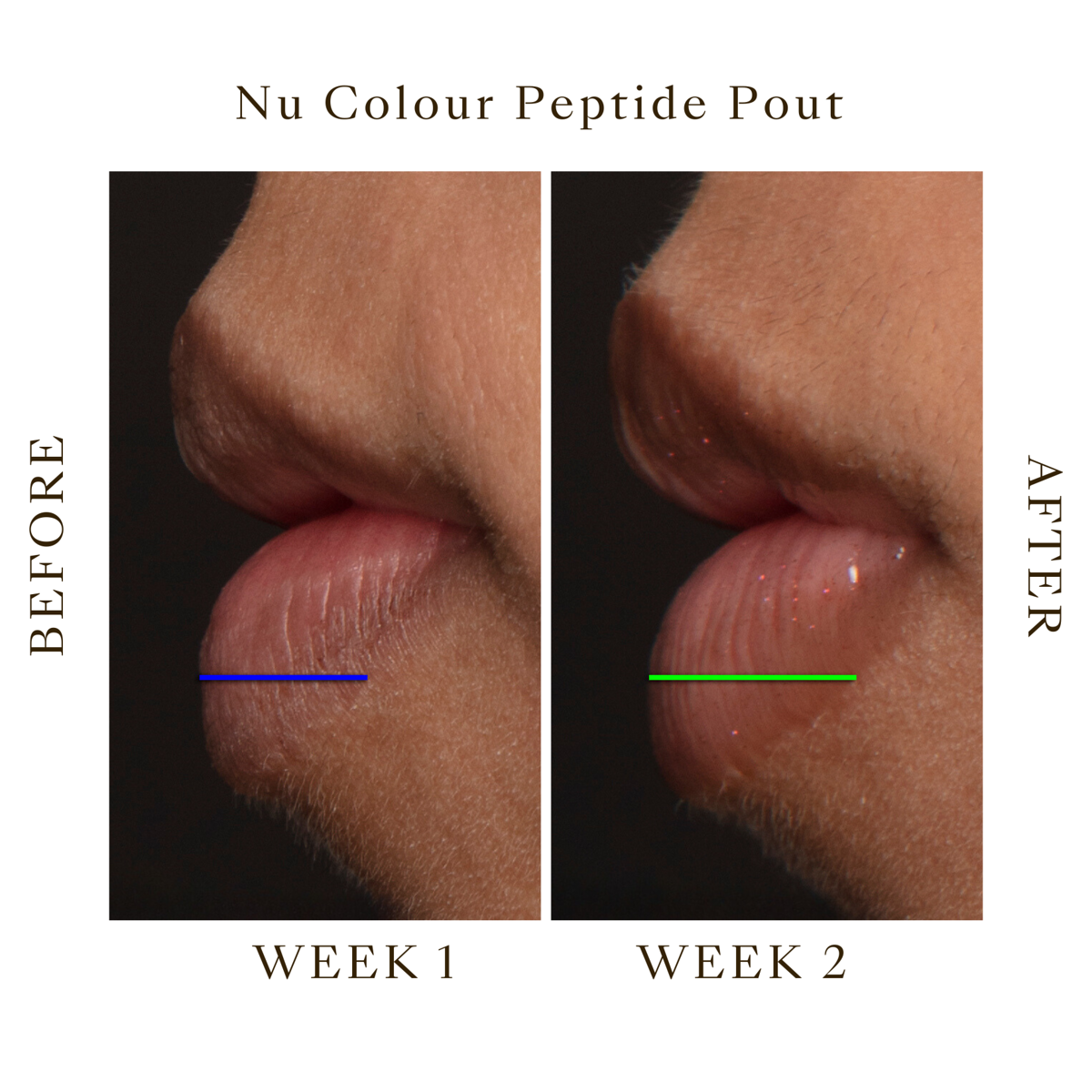 Peptide Pout Plumping Gloss