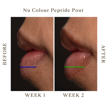 Peptide Pout Plumping Gloss