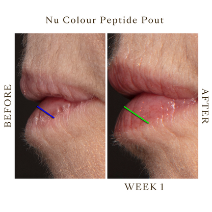 Peptide Pout Plumping Gloss